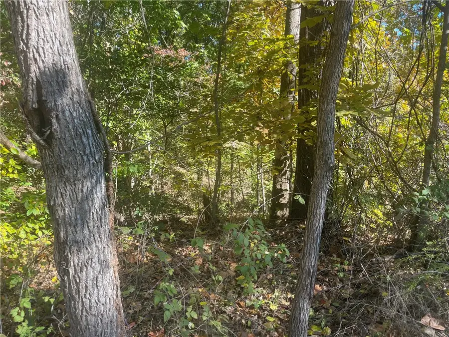Lot 19 Weedon Lane, Bella Vista, AR 72714 - #2