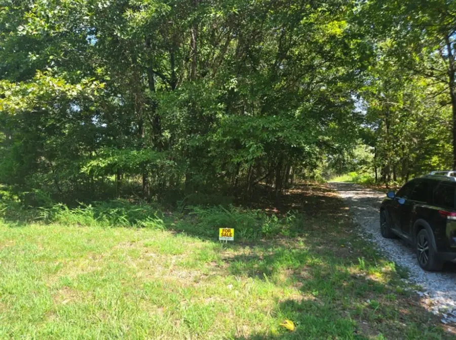 .92 Acre Lucky Lane, Peel, AR 72687 - #2