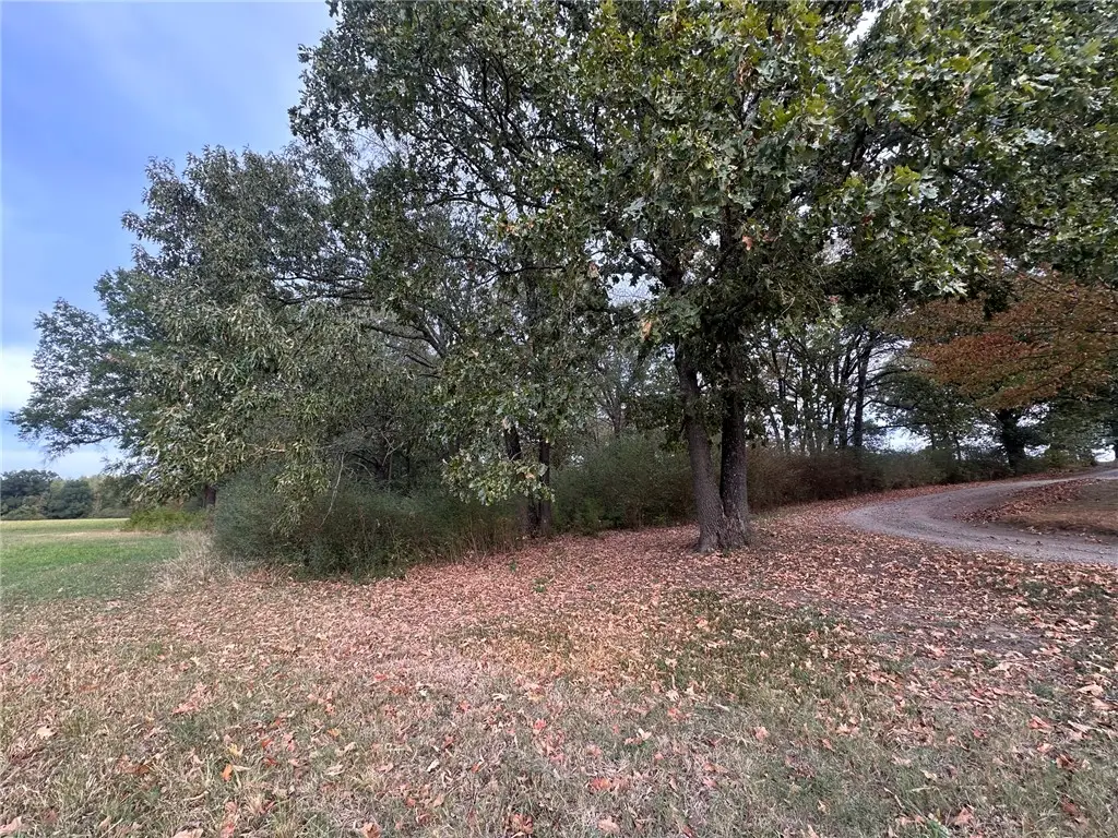 0 E Walnut, Paris, AR 72855 - #1