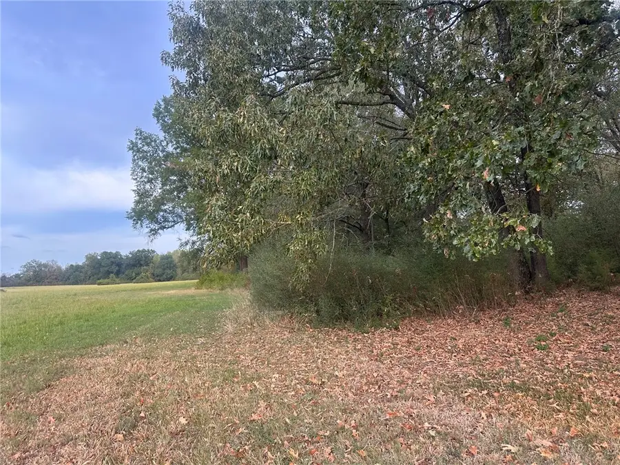 0 E Walnut, Paris, AR 72855 - #2