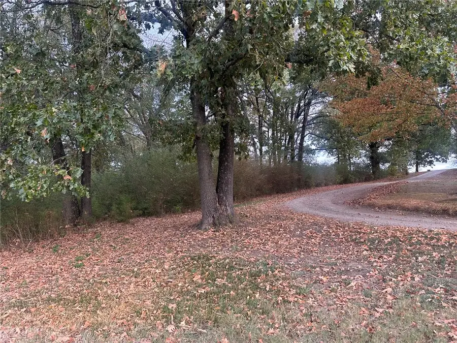 0 E Walnut, Paris, AR 72855 - #3