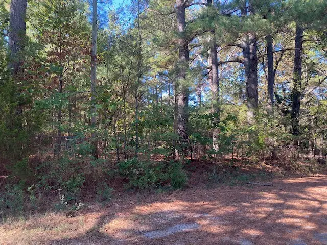 16135 Willow Circle, Fayetteville, AR 72704 - #2