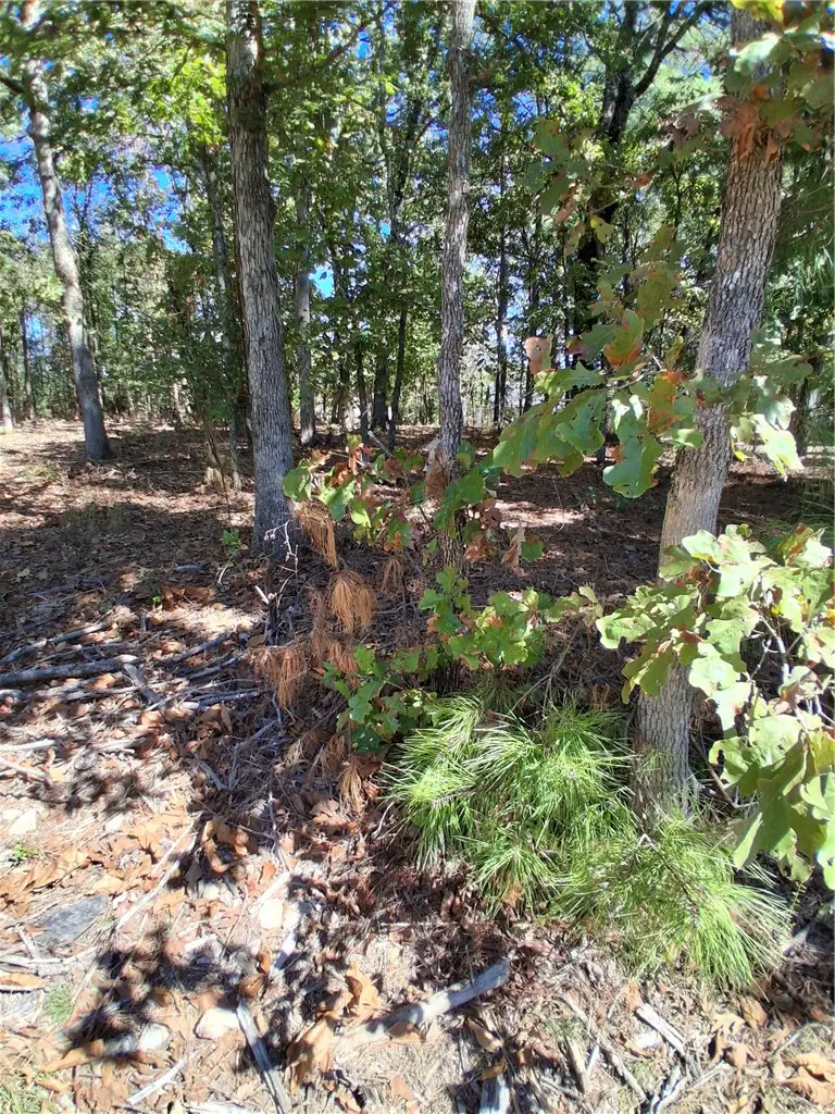 Ayr Drive, Bella Vista, AR 72715 - #1