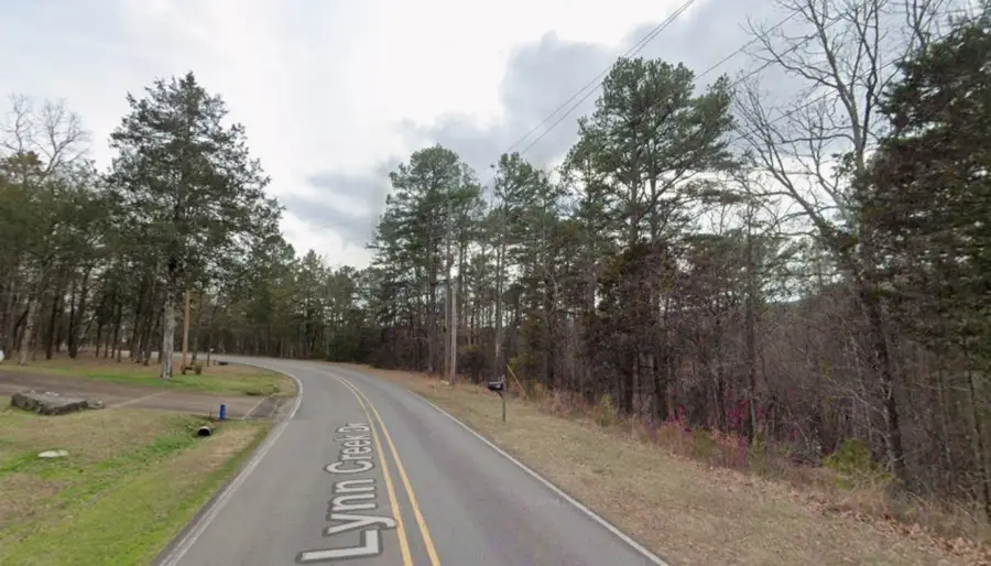 Lot 136 and 137 Lynn Creek Drive, Fairfield Bay, AR 72088 - #3
