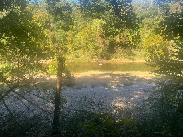001-00820-000 Breezewood Lane, Flippin, AR 72634 - #1