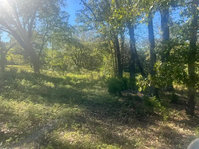 001-00820-000 Breezewood Lane, Flippin, AR 72634 - #2