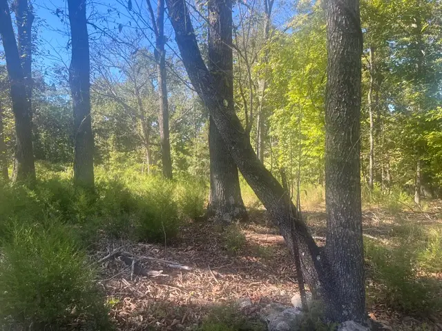 001-00820-000 Breezewood Lane, Flippin, AR 72634 - #3
