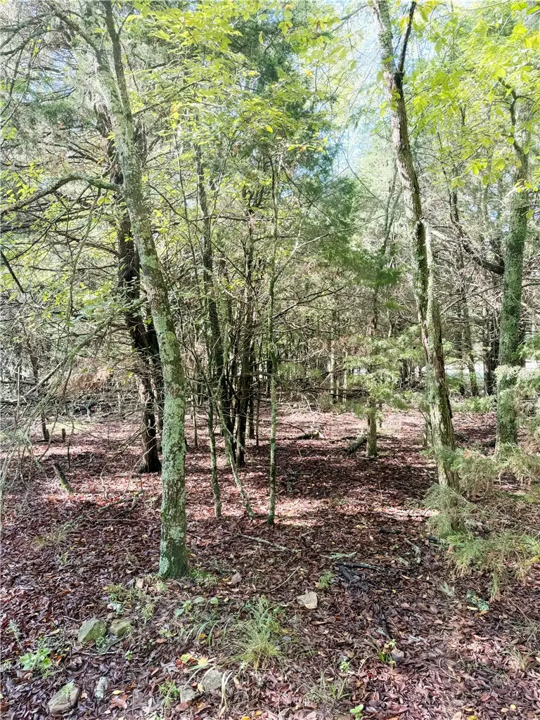 Lot 60 Lodge Drive, Garfield, AR 72732 - #1