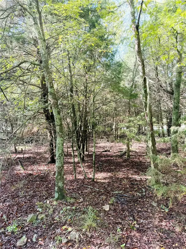Lot 60 Lodge Drive, Garfield, AR 72732