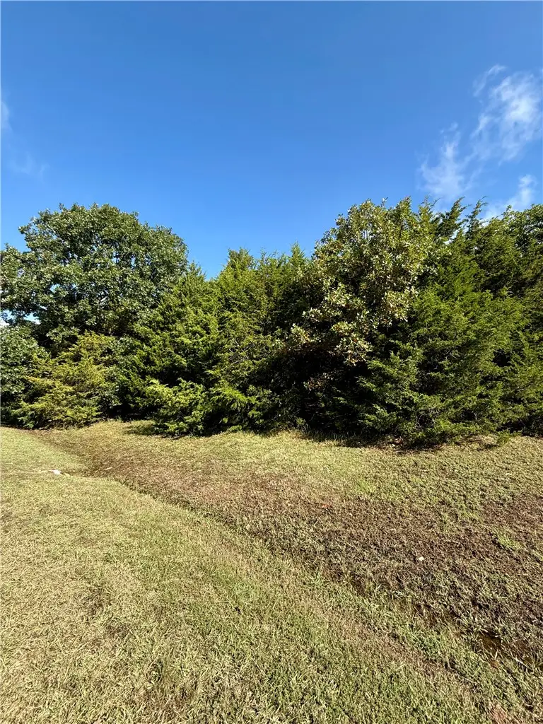 Lot 60 Lodge Drive, Garfield, AR 72732 - #3