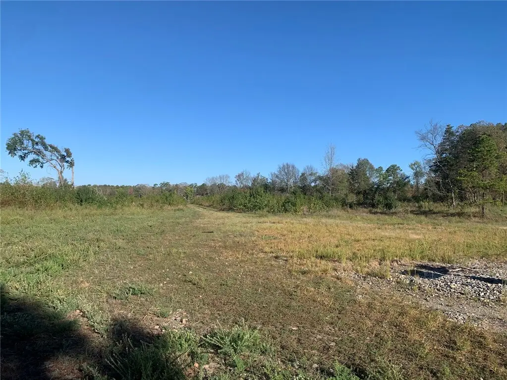 River Mountain Road, Delaware, AR 72835 - #1