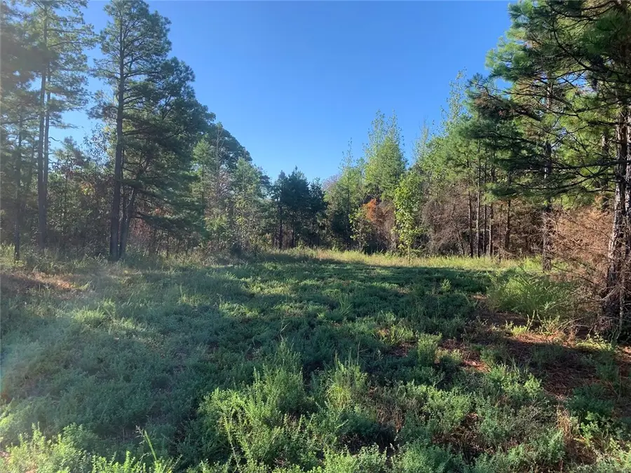 River Mountain Road, Delaware, AR 72835 - #2