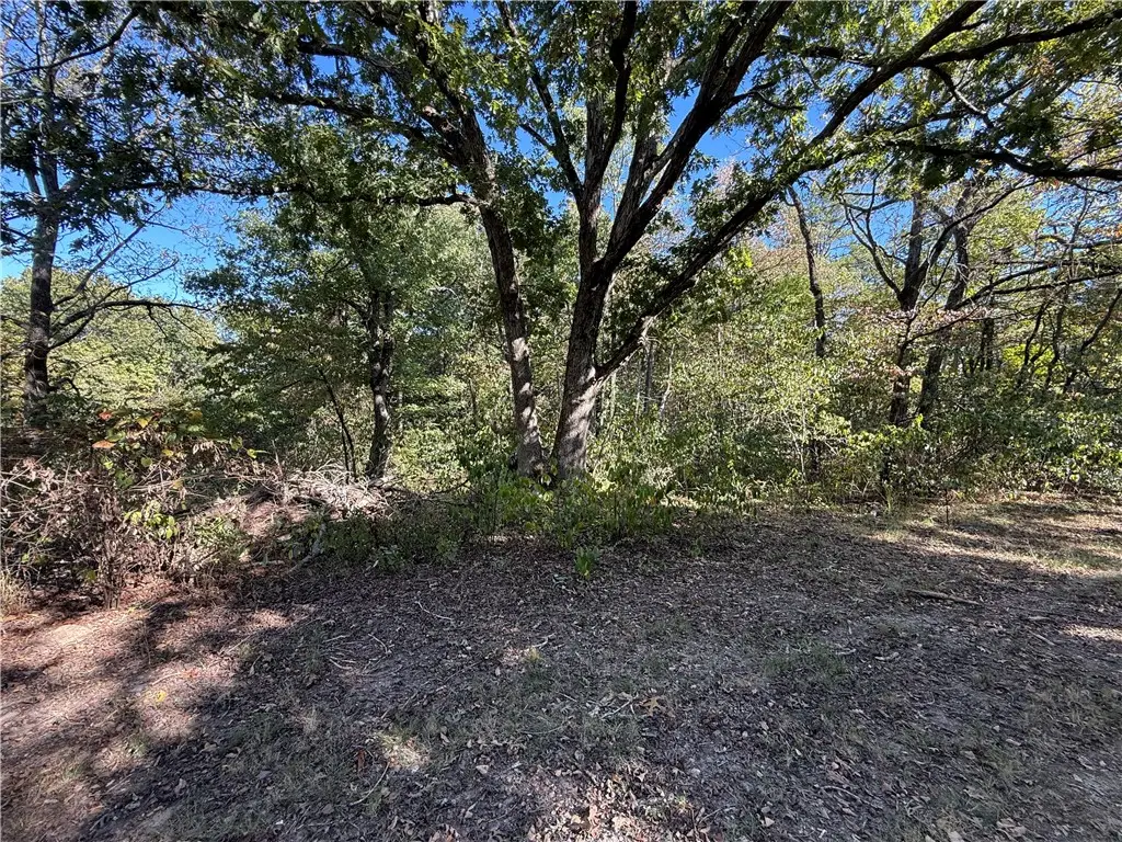 Tract A Silver Ridge Road, Eureka Springs, AR 72632 - #1