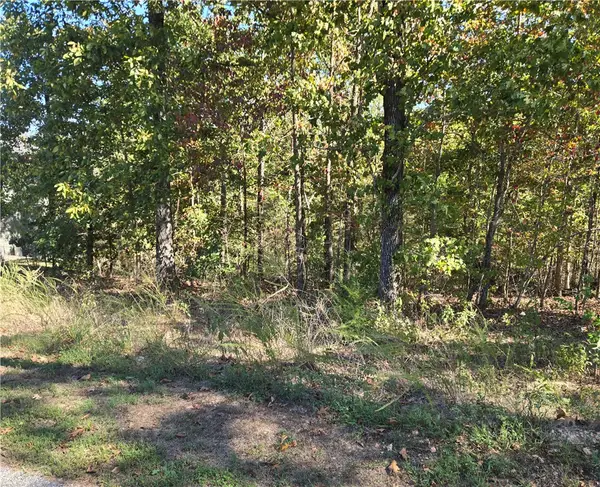 Lot 13 Block 7 Murphy Drive, Bella Vista, AR 72715