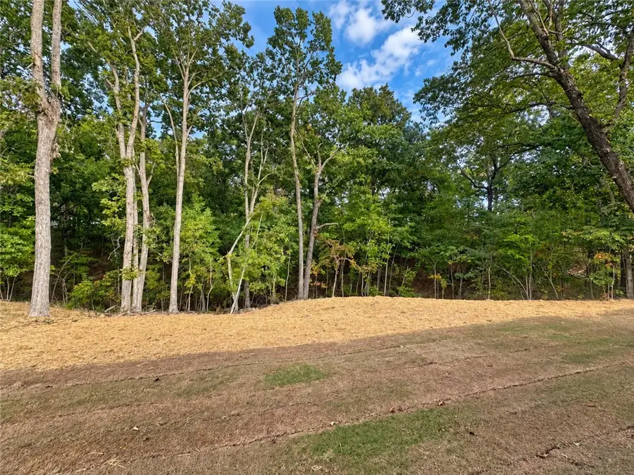 6 Dumfries Drive, Bella Vista, AR 72715 - #2