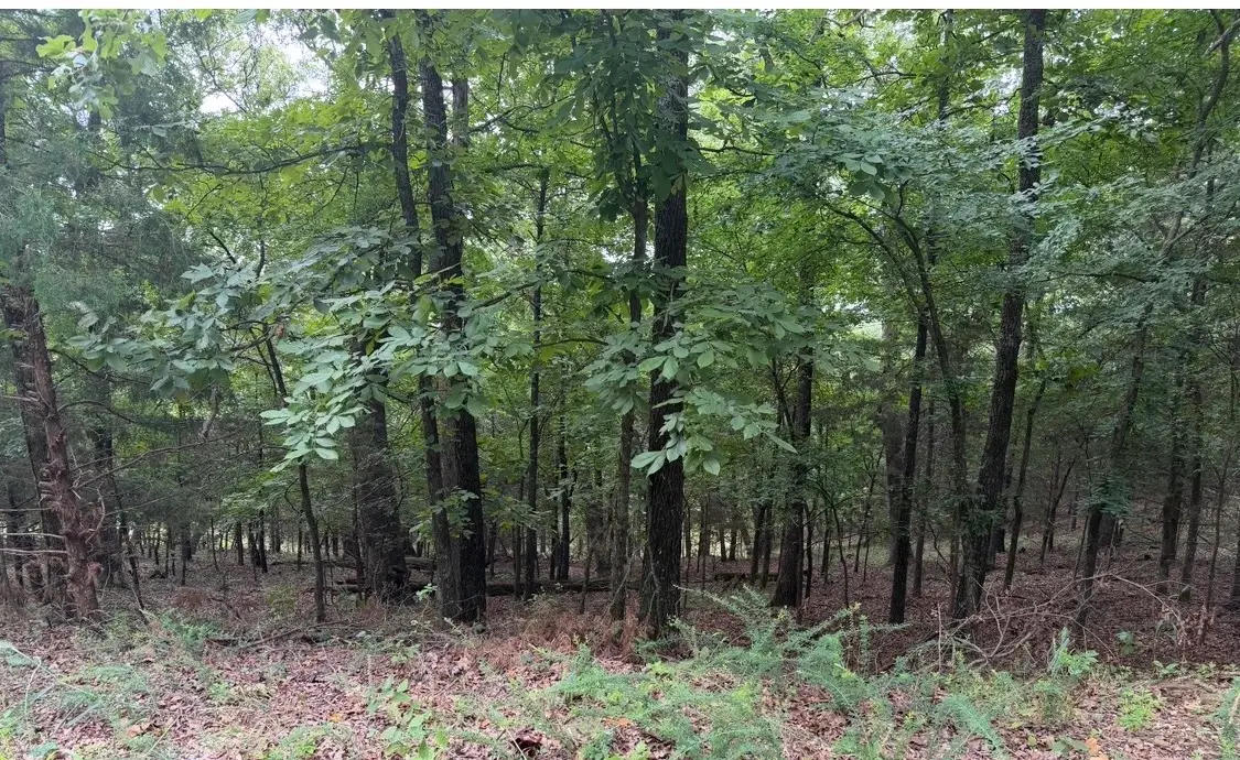 0 Mildenhall Drive, Bella Vista, AR 72714 - #1
