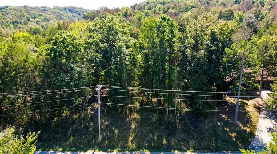 TBD Wild Turkey Drive, Eureka Springs, AR 72631 - #3