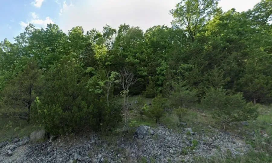 1113 Pine Ridge Drive, Horseshoe Bend, AR 72512 - #2