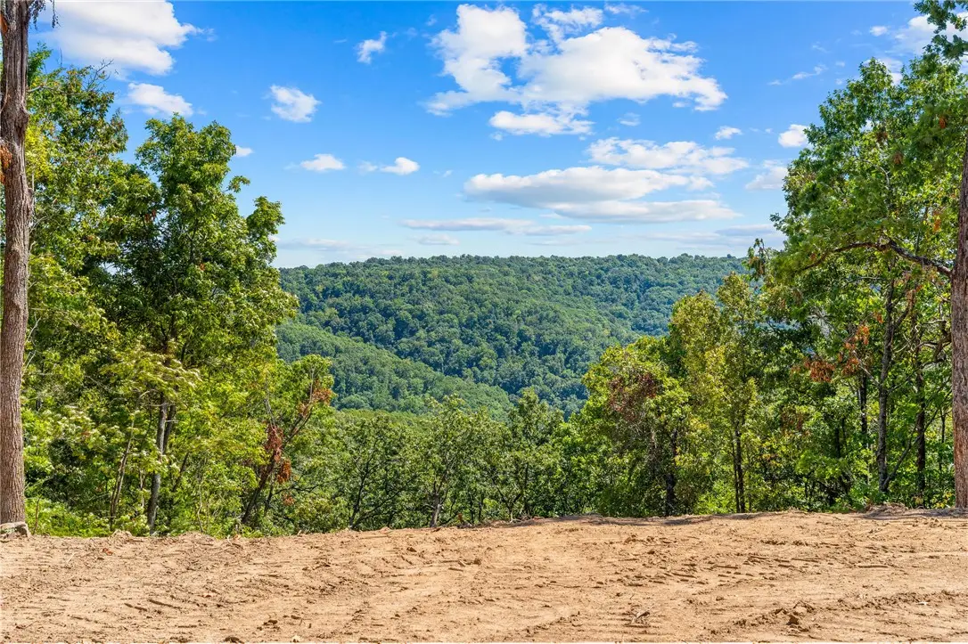 12538 Country Ridge #Lot 14, Omaha, AR 72662 - #1