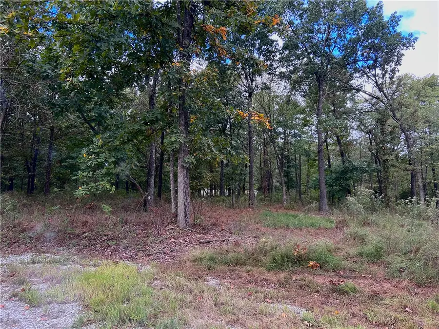 10107 Noah Road #Tract 1, Gravette, AR 72736 - #2