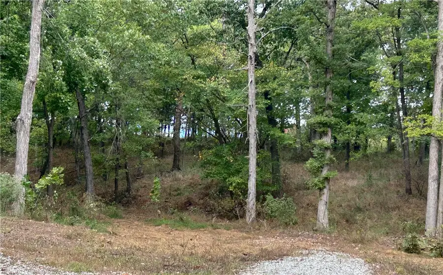 10107 Noah Road #Tract 3, Gravette, AR 72736 - #2