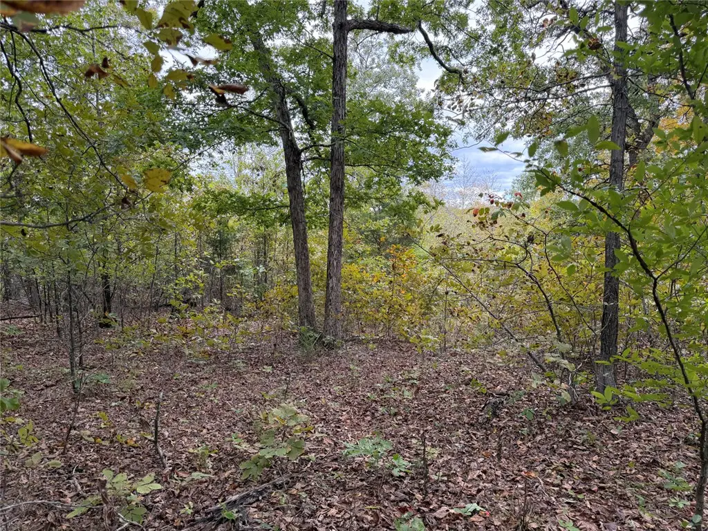 Minnow Road, Saint Joe, AR 72675 - #1