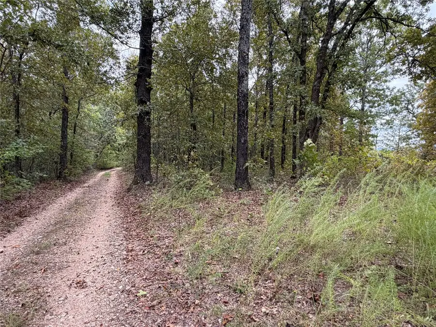 Minnow Road, Saint Joe, AR 72675 - #2