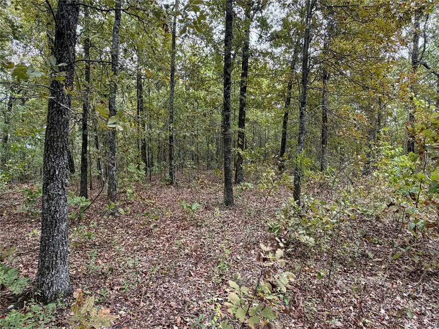 Minnow Road, Saint Joe, AR 72675 - #3