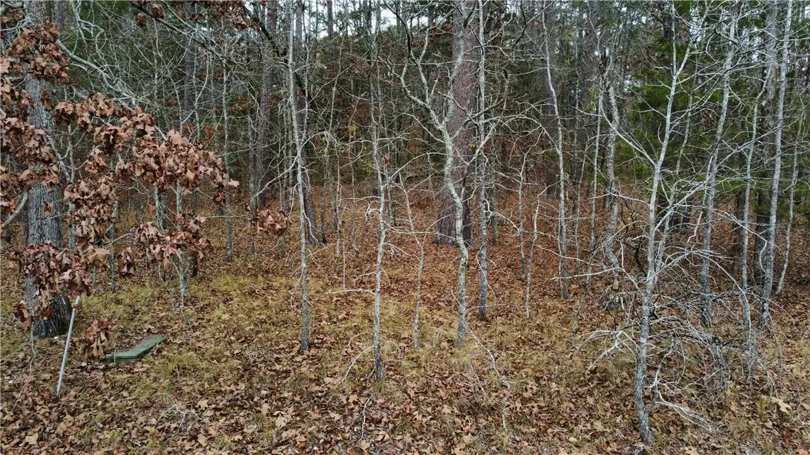 Grandilla Way, Hot Springs Village, AR 71909 - #1