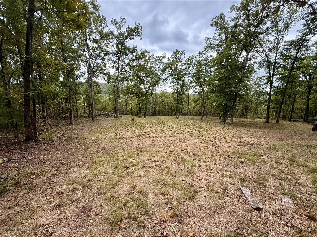 TBD Madison 3370, Witter, AR 72776 - #1