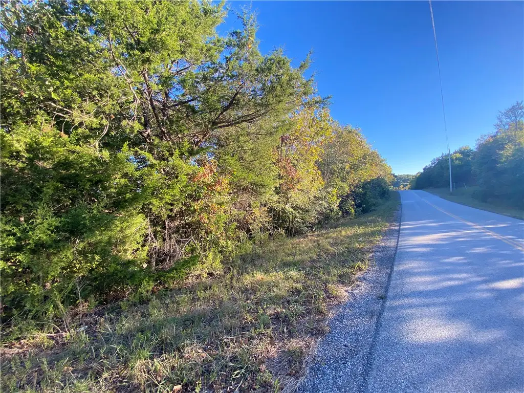 Off Stonington Road, Omaha, AR 72662 - #1