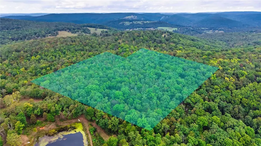 7718 Chester Cove, Chester, AR 72934 - #2