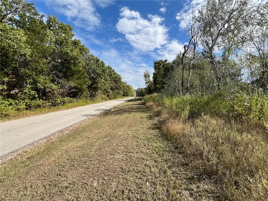 TBD Cedar Lane, Lead Hill, AR 72644 - #2
