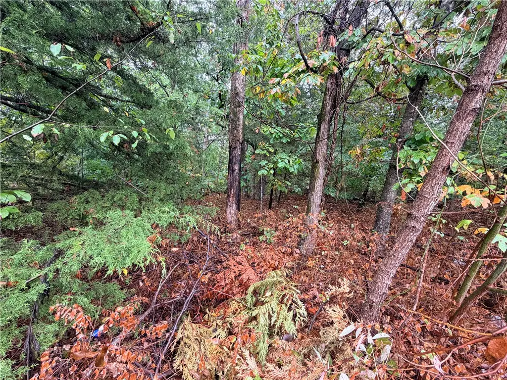 TBD Skye Drive, Bella Vista, AR 72715 - #1