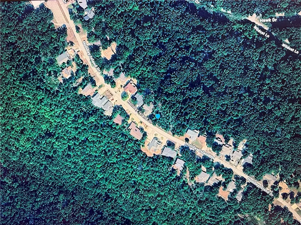 UNIT11-B2-L10 Holiday Island Drive, Holiday Island, AR 72631 - #1