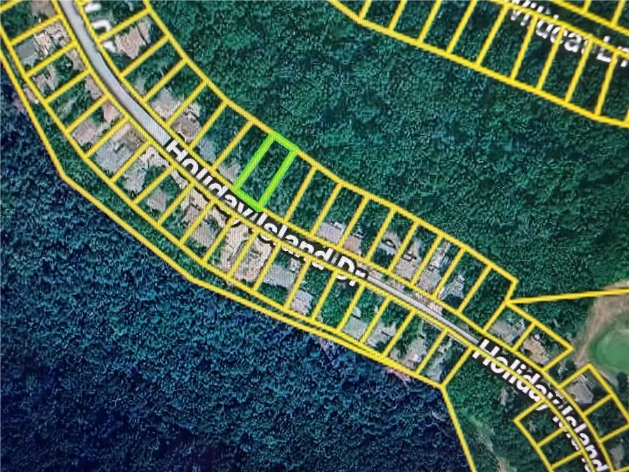UNIT11-B2-L10 Holiday Island Drive, Holiday Island, AR 72631 - #3