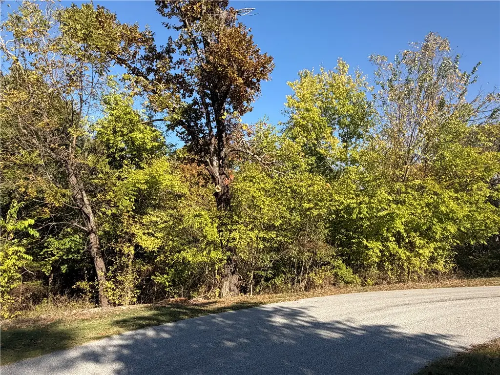 Hadrian Lane, Bella Vista, AR 72715 - #1
