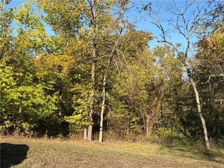 Hadrian Lane, Bella Vista, AR 72715 - #2