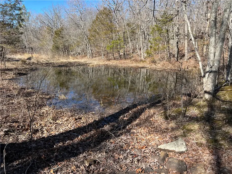 County Rd 972, Alpena, AR 72611 - #2