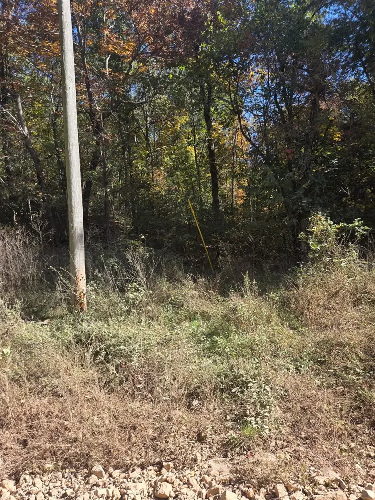 Osage Hog Farm Rd, Siloam Springs, AR 72761 - #3