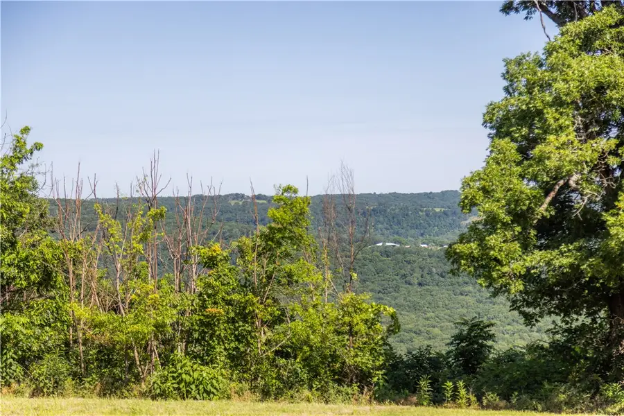 10022 W Devils Den Road, Winslow, AR 72959 - #2