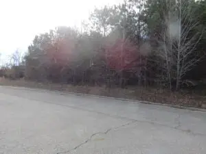 000 Dunwood Drive, Clarksville, AR 72830 - Image #3