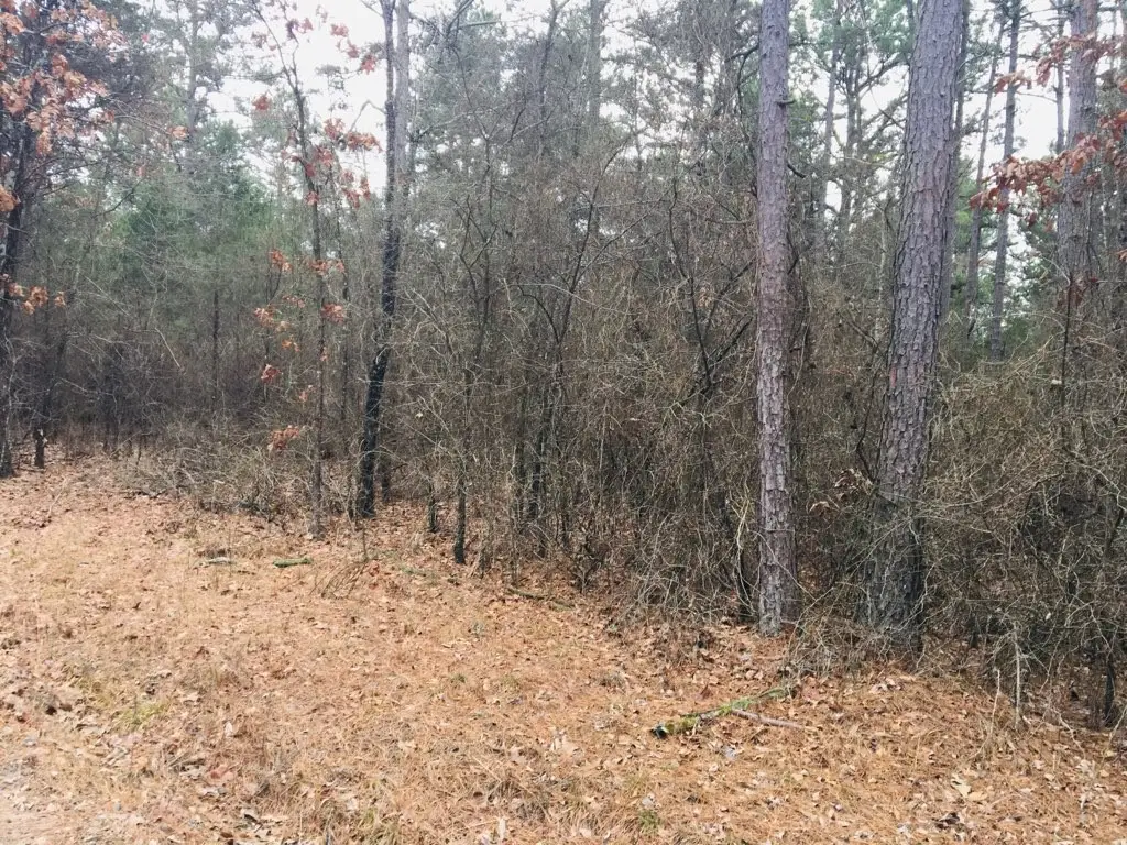 95 Eagles Nest, Cr 1788, London, AR 72847 - Image #1