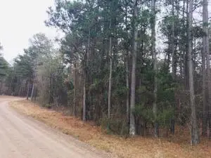 94 Eagles Nest, Cr 1788, London, AR 72847 - Image #1