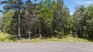 553 (#14) Apple Lane, Russellville, AR 72802 - #3
