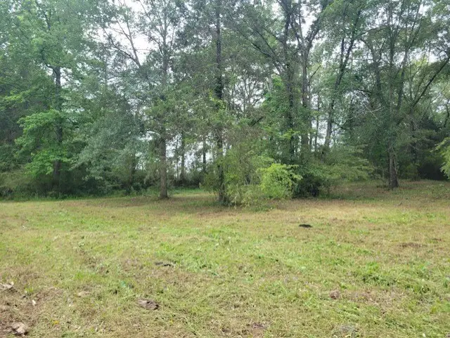 Hankins Drive, Dover, AR 72837 - Image #1