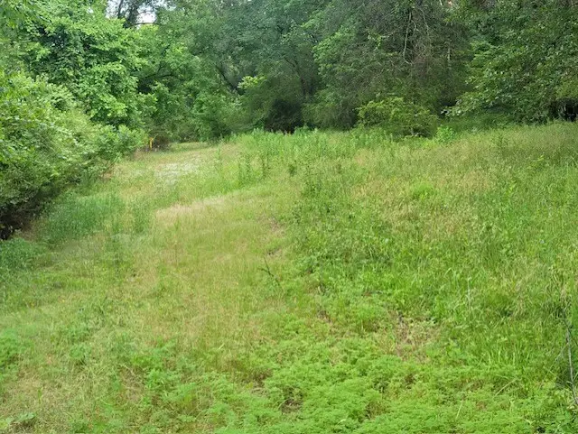 Hankins Drive, Dover, AR 72837 - Image #2