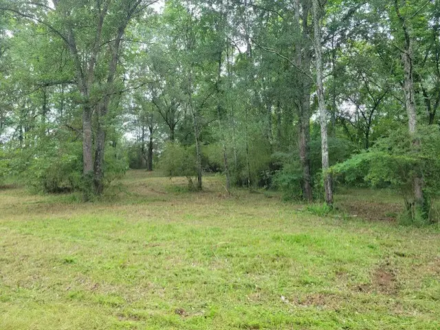 Hankins Drive, Dover, AR 72837 - Image #3