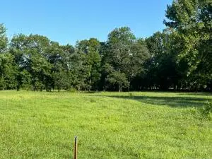 000 Jimmy Lile Road, Russellville, AR 72802 - #3