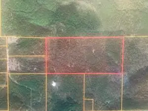 TBD 3651, Lamar, AR 72846 - Image #1